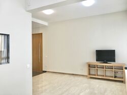 Viz At Holland (D10), Condominium #431308031